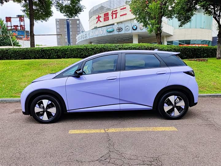 Фото 3 - BYD Dolphin