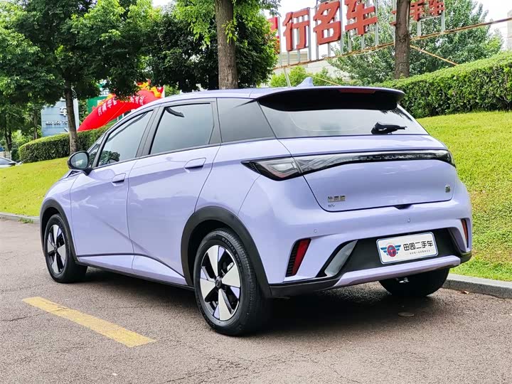 Фото 4 - BYD Dolphin