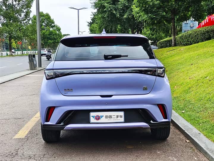 Фото 5 - BYD Dolphin