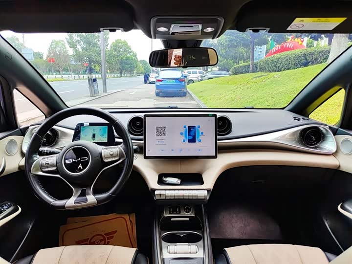 Фото 6 - BYD Dolphin