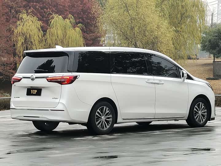 Фото 2 - Buick GL8 ES