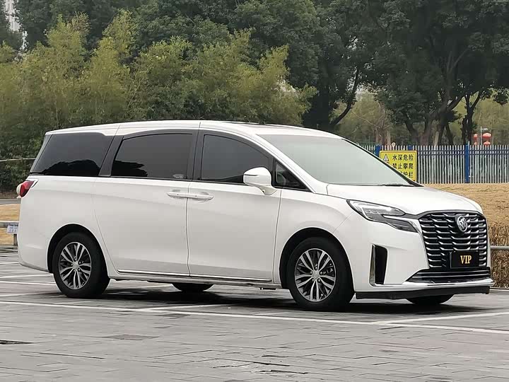 Фото 5 - Buick GL8 ES