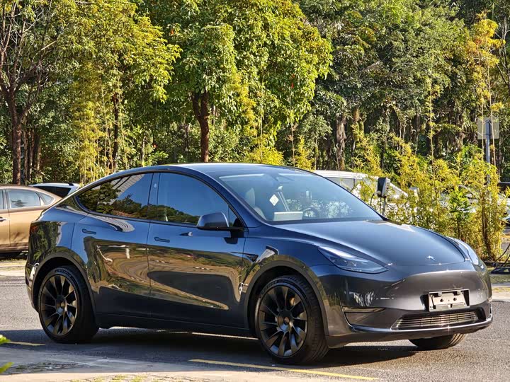 Фото 3 - Tesla Model Y