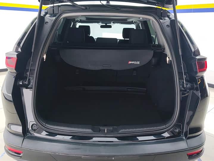 Фото 4 - Honda Breeze