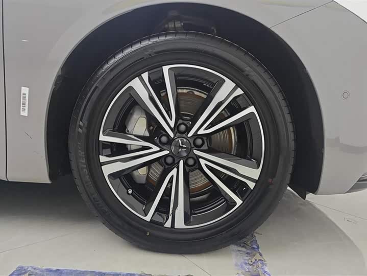 Фото 6 - Hongqi EH7