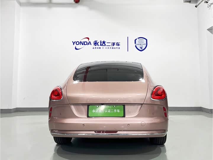 Фото 3 - Ora Lightning Cat (07)