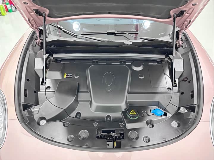 Фото 7 - Ora Lightning Cat (07)