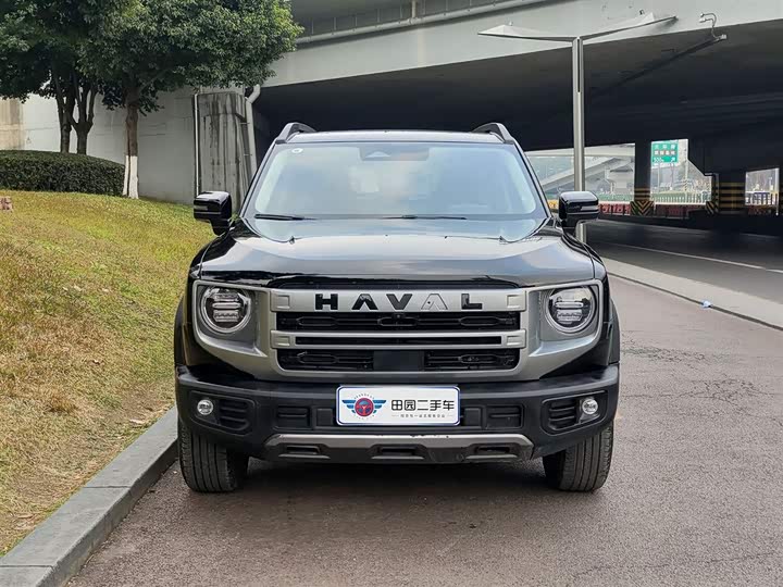 Фото 2 - Haval Dargo