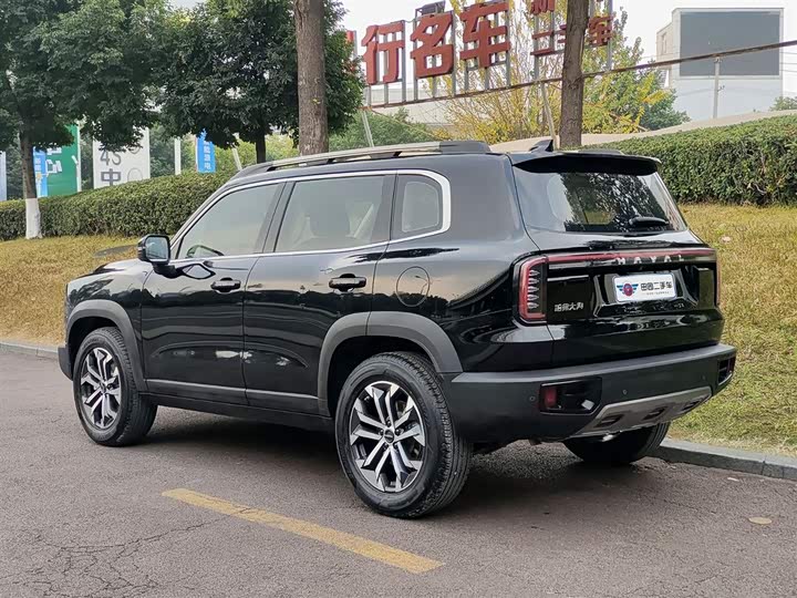 Фото 4 - Haval Dargo