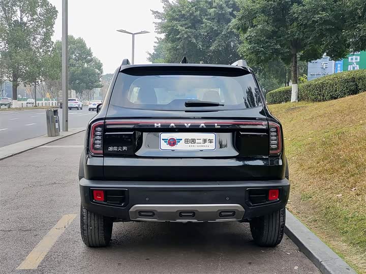 Фото 5 - Haval Dargo