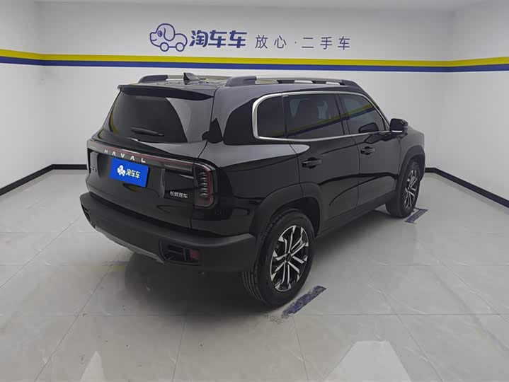 Фото 3 - Haval Dargo