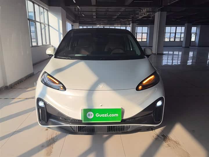 Фото 3 - BAIC Arcfox Kaola