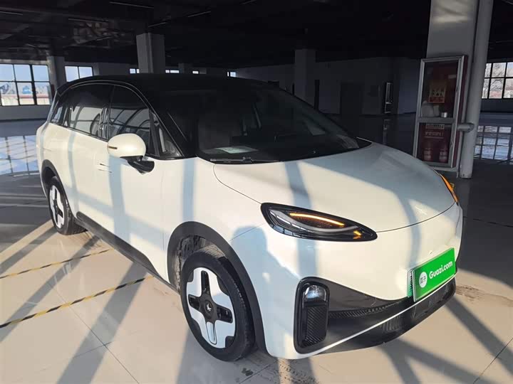 Фото 4 - BAIC Arcfox Kaola