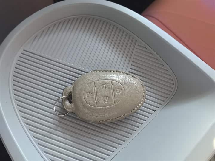 Фото 9 - BAIC Arcfox Kaola