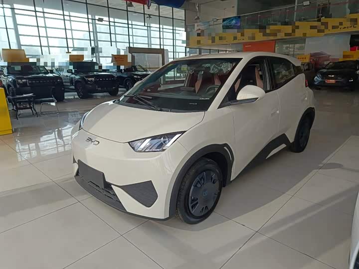 Фото 2 - BYD Seagull