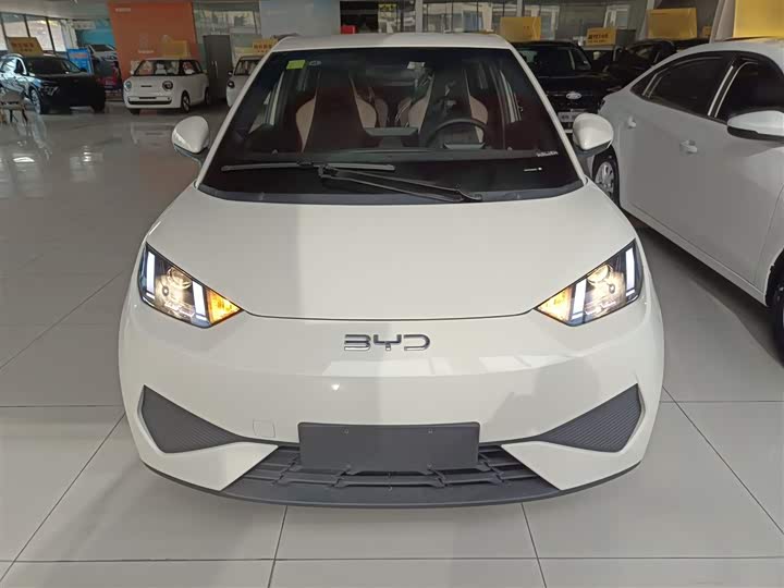 Фото 3 - BYD Seagull