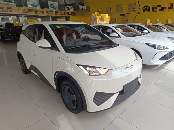 Фото 4 - BYD Seagull