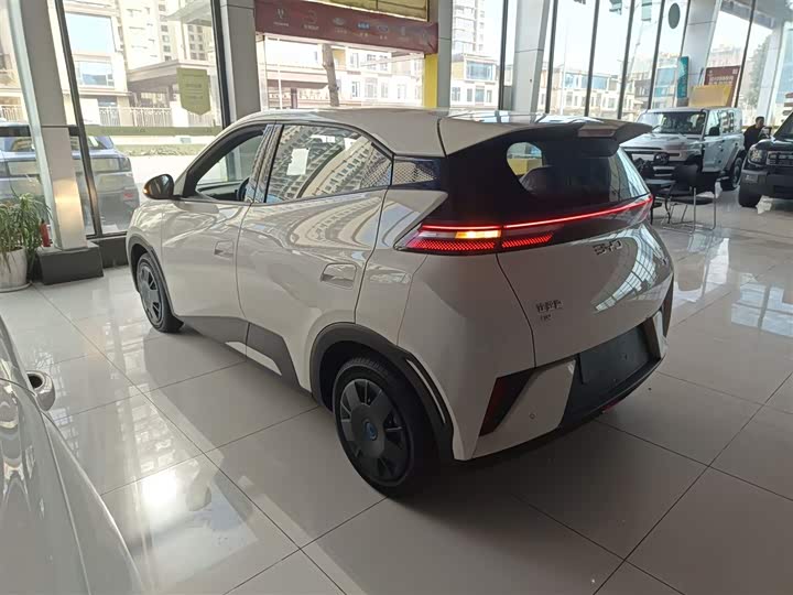 Фото 5 - BYD Seagull