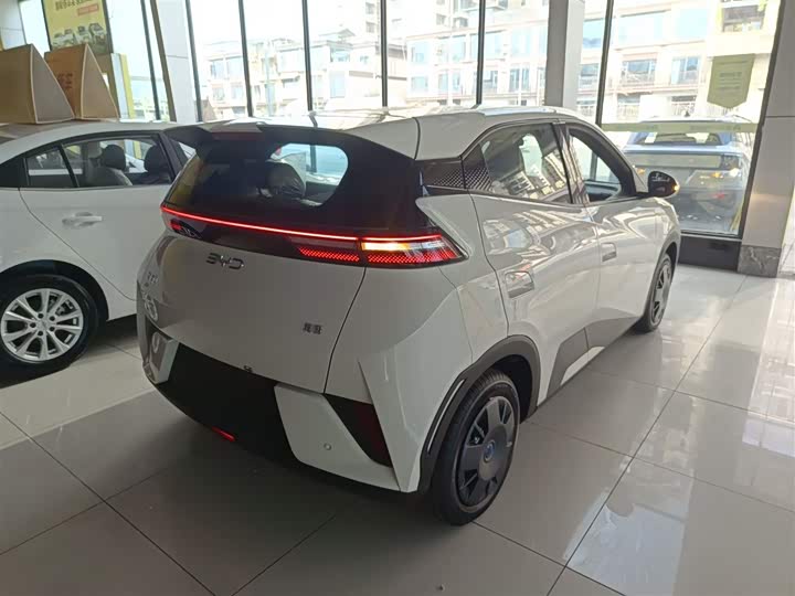 Фото 7 - BYD Seagull