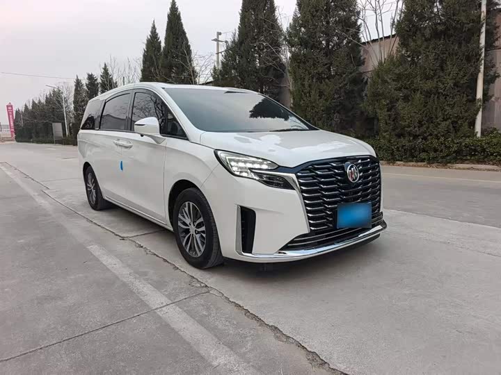 Фото 4 - Buick GL8 ES