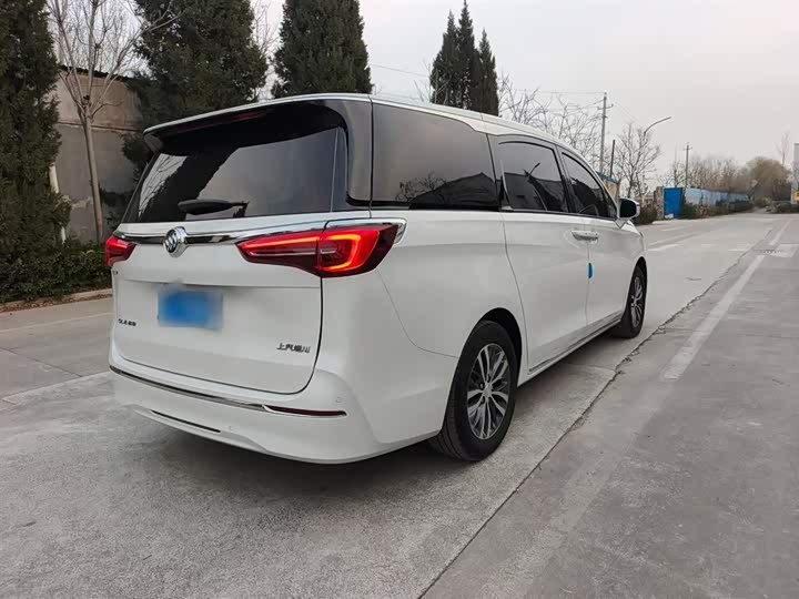 Фото 6 - Buick GL8 ES