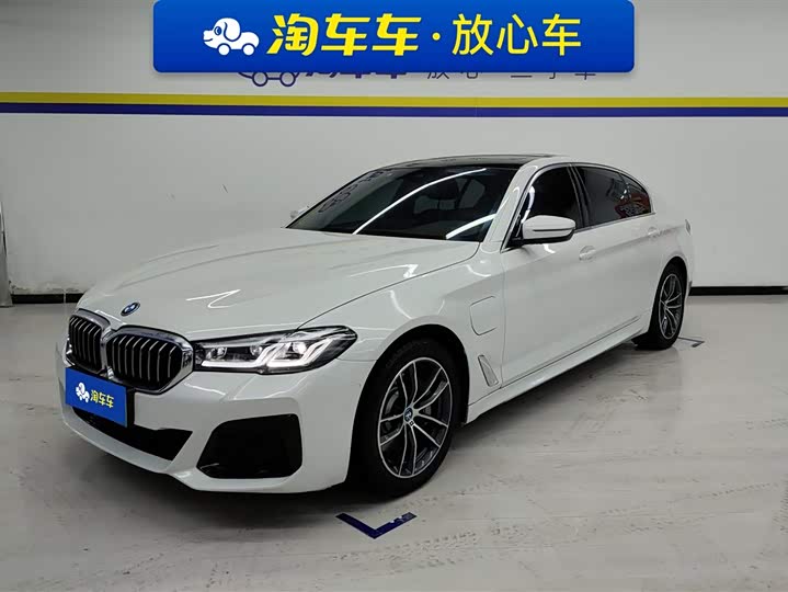 Фото 1 - BMW 5 Series Hybrid