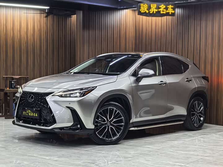 Фото 1 - Lexus NX
