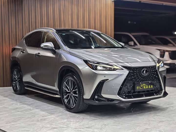 Фото 3 - Lexus NX