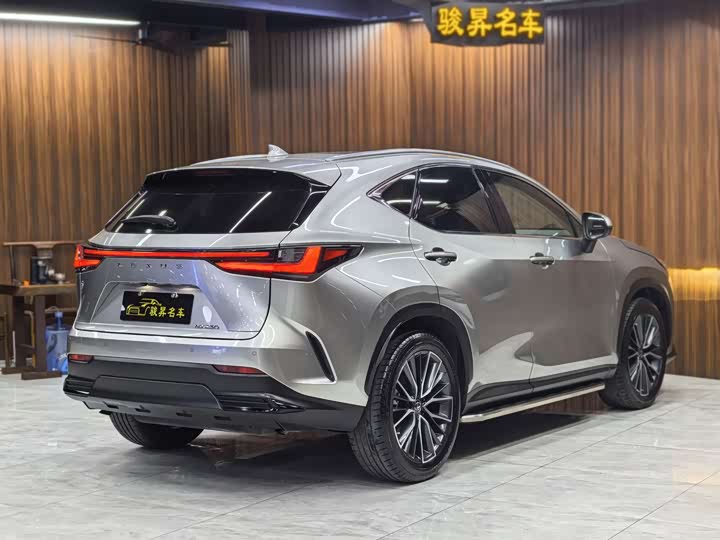 Фото 6 - Lexus NX