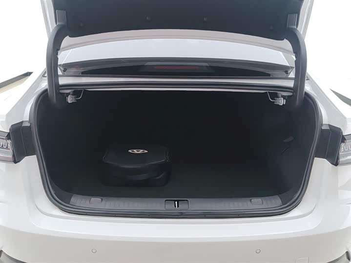 Фото 4 - Chery Fulwin A8