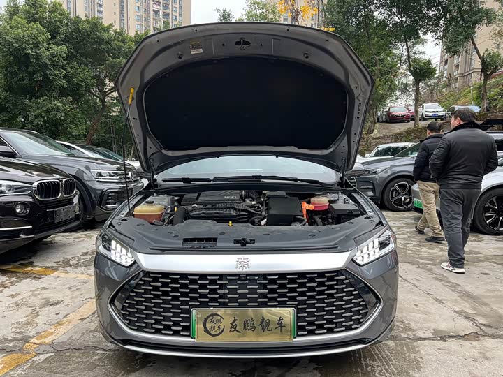 Фото 4 - BYD Qin Plus