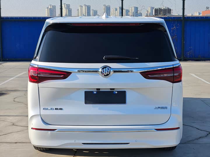 Фото 5 - Buick GL8 ES