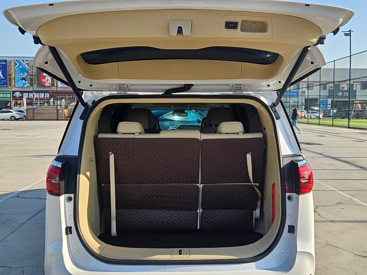 Фото 7 - Buick GL8 ES