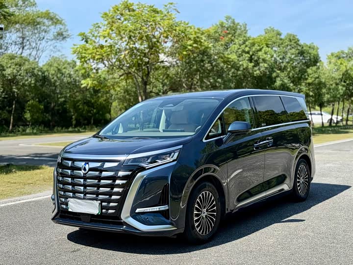 Фото 1 - Denza D9