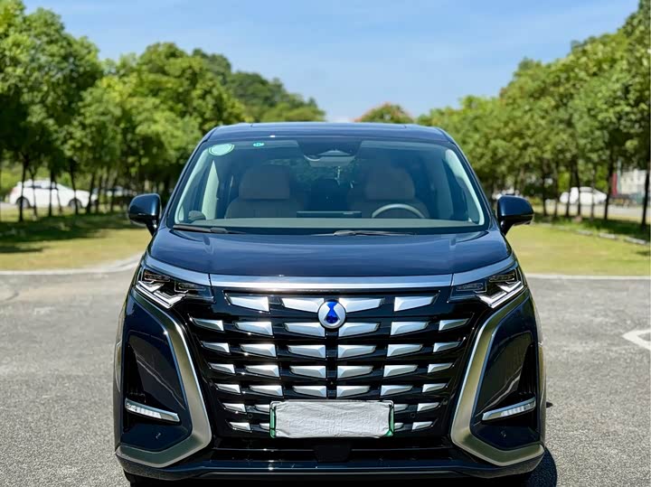 Фото 2 - Denza D9