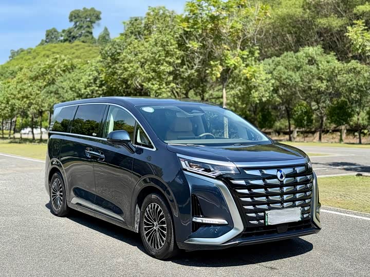 Фото 3 - Denza D9