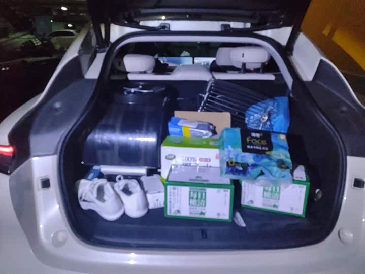 Фото 4 - IM motors LS6