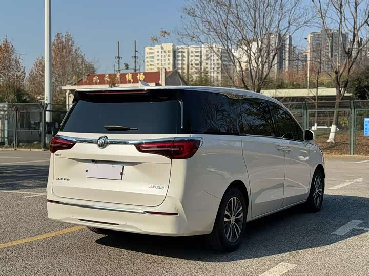 Фото 3 - Buick GL8 ES