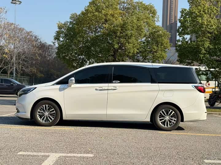 Фото 5 - Buick GL8 ES