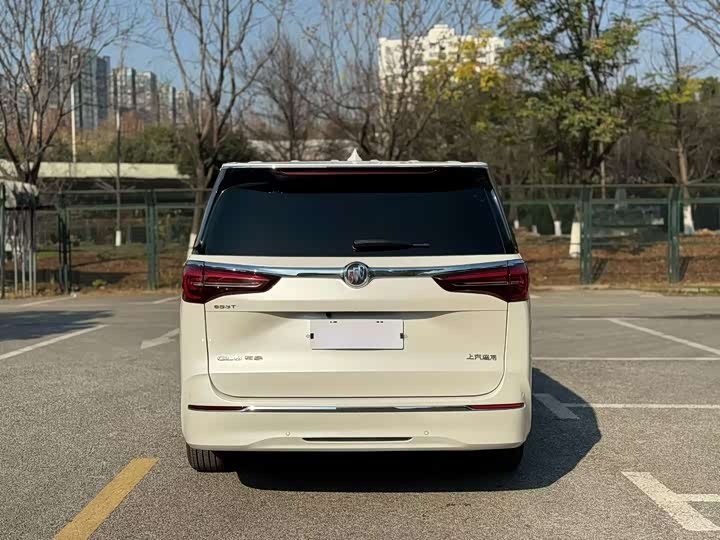 Фото 8 - Buick GL8 ES