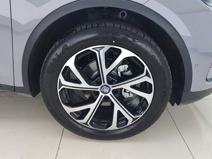 Фото 6 - BYD Tang Hybrid/EV