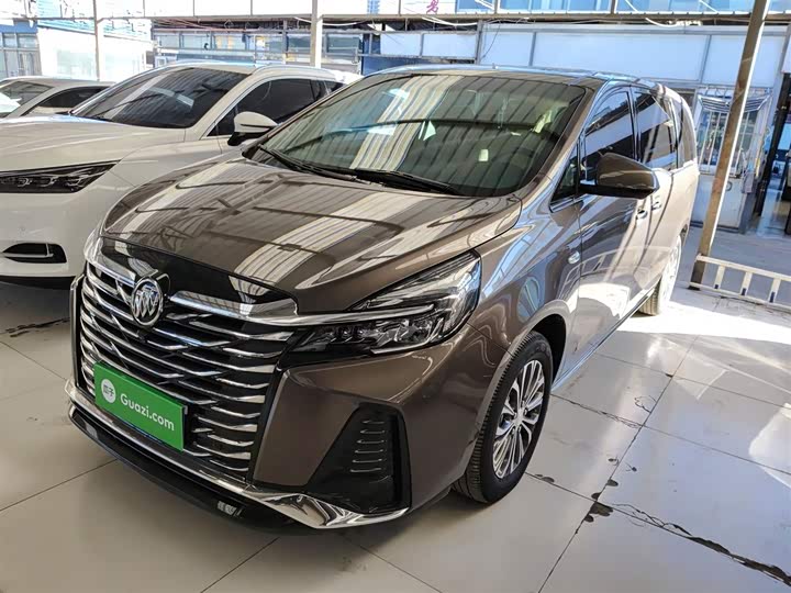 Фото 2 - Buick GL8 ES