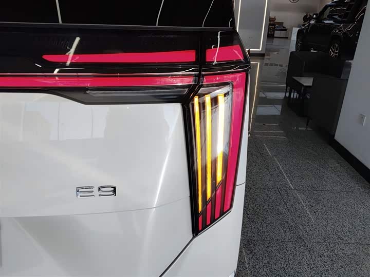 Фото 8 - GAC Trumpchi E9