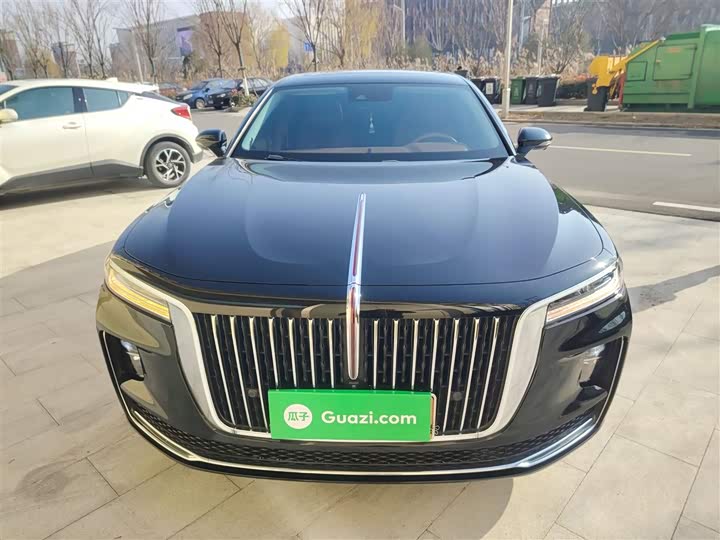 Фото 3 - Hongqi H9