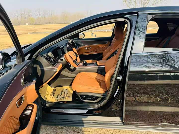 Фото 4 - BYD Han