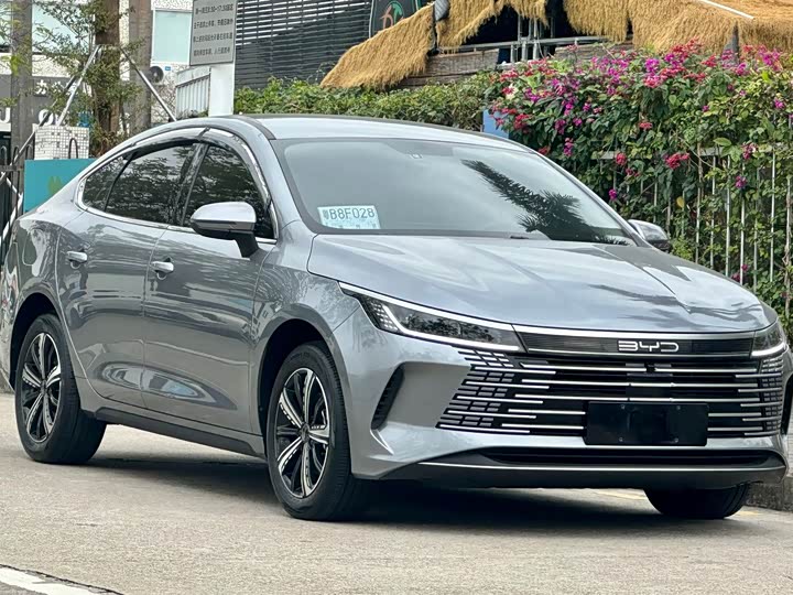 Фото 3 - BYD Destroyer 05