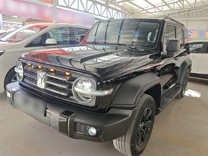 Фото 1 - Tank 300