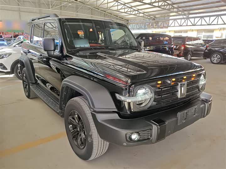 Фото 4 - Tank 300