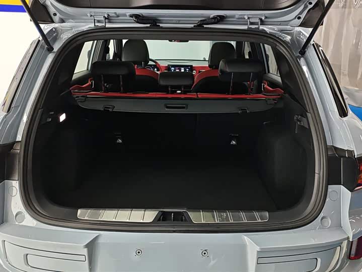 Фото 4 - Geely Icon