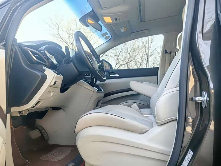 Фото 8 - Buick GL8 ES